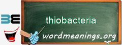 WordMeaning blackboard for thiobacteria